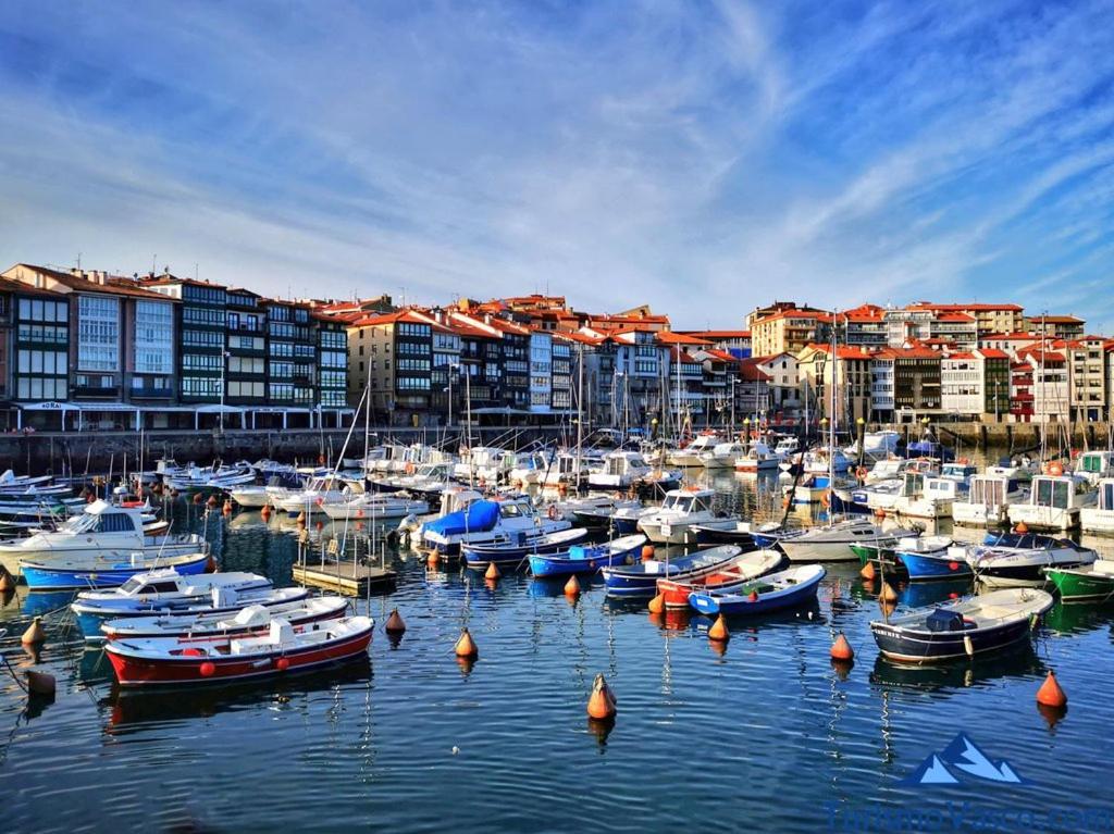 Coqueto Apartamento En El Casco Viejo Лекейтіо Екстер'єр фото